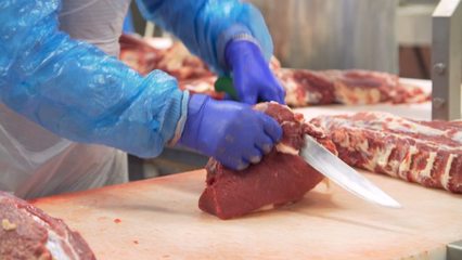 猪肉生产猪肉生产AE模板下载_光厂(VJ师网)