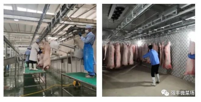 市民足不出“沪”就能吃到来自云南的枫泾猪肉→
