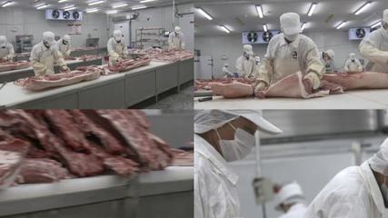 猪肉分割猪肉分割AE模板下载_光厂(VJ师网)