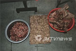 15头死猪肉流入市场 新会首例食品类刑事附带民事公益诉讼开庭