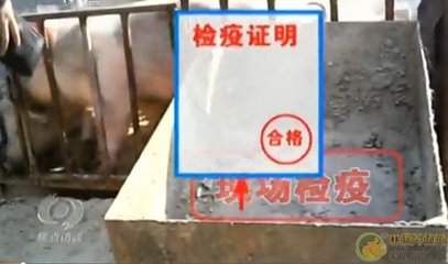 金锣因疑似病猪流入停产检查 专家:或有灭顶之灾