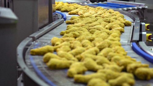 泰森食品 持续加码中国市场,打造安全 健康 优质的高蛋白产品
