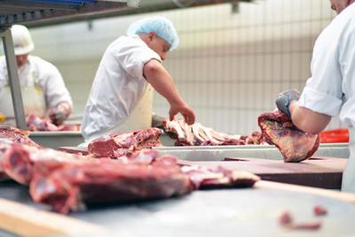 张文宏:它是抵抗病毒最关键的食物!营养专家:这10种食物最优质!
