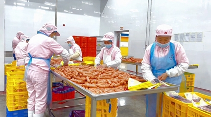 铆足干劲!兴国肉制品企业加工生产忙