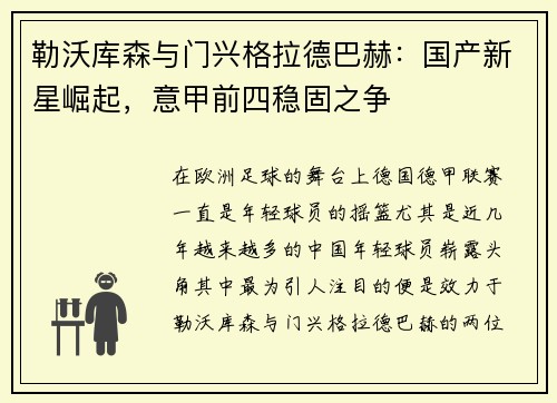 勒沃库森与门兴格拉德巴赫：国产新星崛起，意甲前四稳固之争