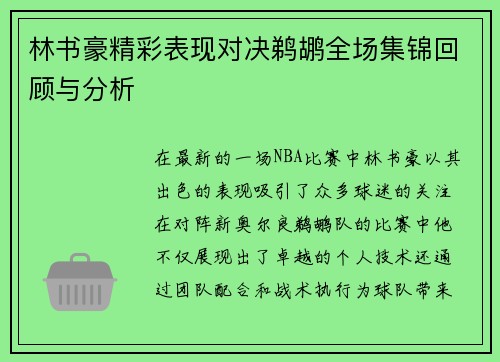 林书豪精彩表现对决鹈鹕全场集锦回顾与分析