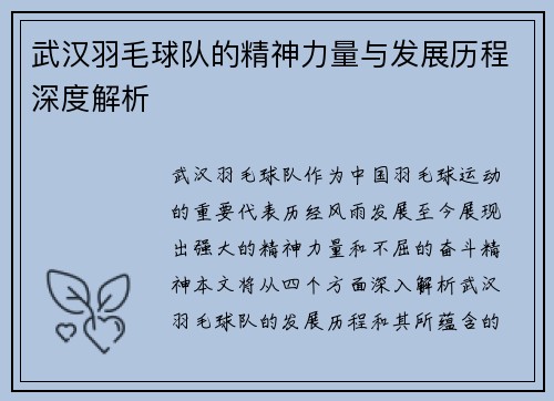 武汉羽毛球队的精神力量与发展历程深度解析